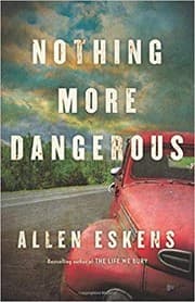 Cover of Nothing More Dangerous
