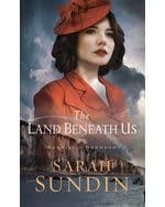 Cover of The land beneath us