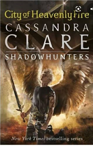 Cover of The Mortal Instruments 6