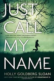 Cover of Just Call My Name