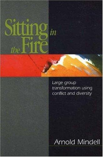 Cover of Sitting in the fire