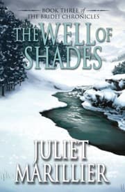 Cover of The Well Of Shades
