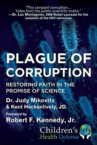 Cover of Plague of Corruption