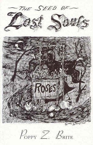 Cover of Seed of Lost Souls