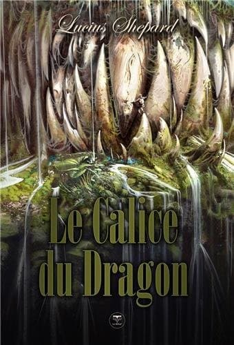 Cover of Le calice du dragon