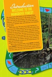 Cover of A mangrove forest food chain