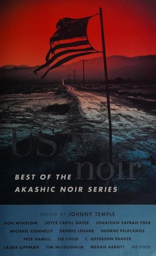 Cover of USA Noir