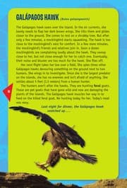Cover of A Galápagos Island food chain