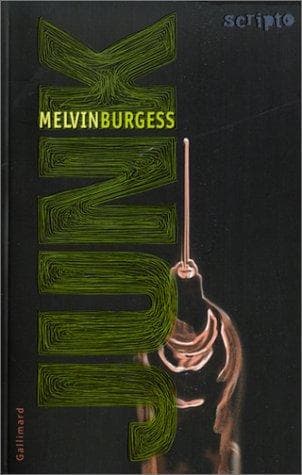 Cover of Junk