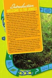 Cover of A South American rain forest