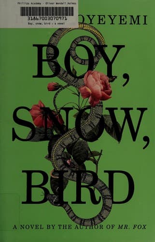 Cover of Boy, Snow, Bird