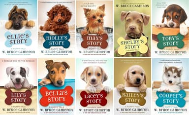 Cover of Ruby's story