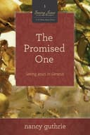 Cover of Promised One Pack