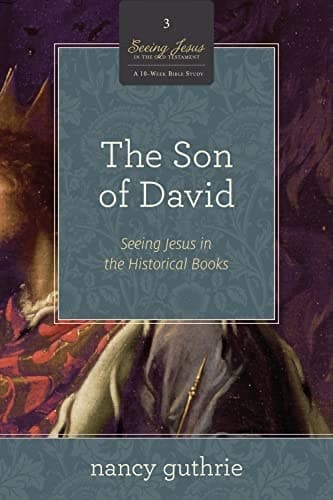 Cover of Son of David 10-Pack