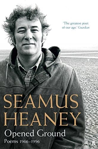 Cover of Opened Ground