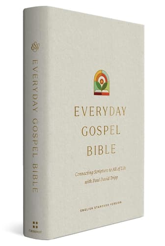 Cover of ESV Everyday Gospel Bible