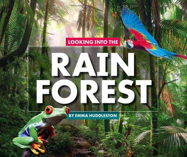 Cover of Looking into the Rain Forest