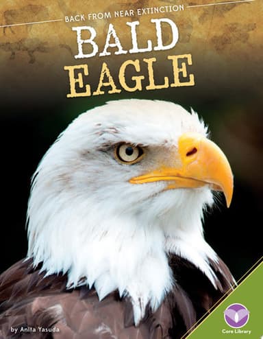 Cover of Bald Eagle