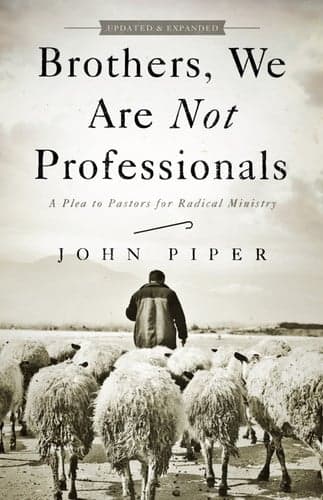 Cover of Brothers, We Are Not Professionals