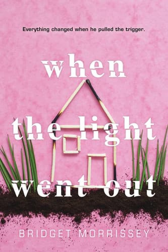 Cover of When the Light Went Out