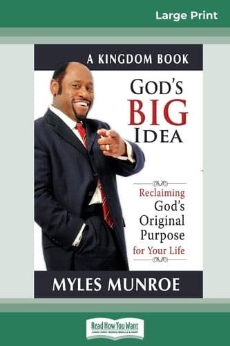 Cover of God's Big Idea Tradepaper