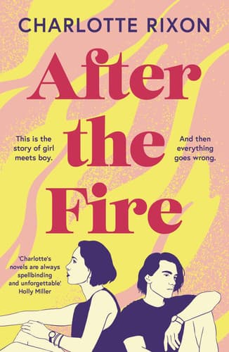 Cover of After the Fire