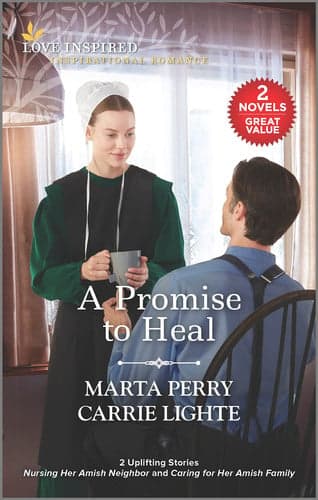 Cover of Promise to Heal