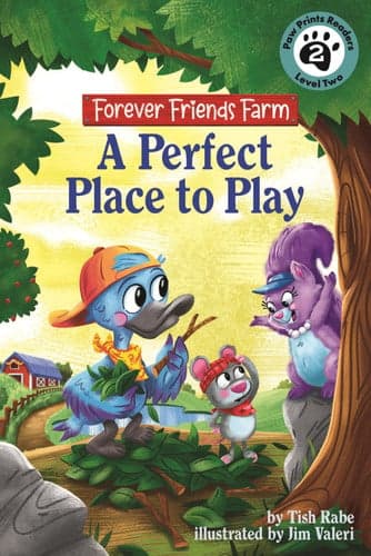 Cover of Perfect Place to Play