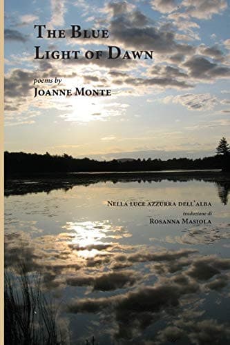 Cover of The blue light of dawn