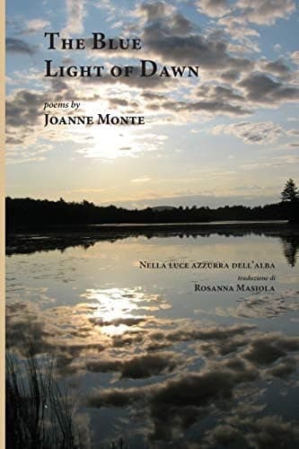 Cover of The blue light of dawn