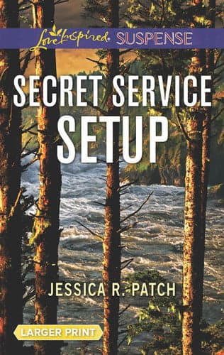 Cover of Secret Service Setup