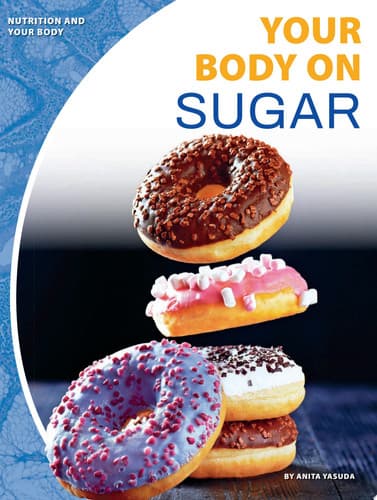 Cover of Your Body on Sugar