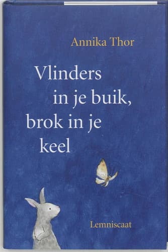 Cover of Vlinders in je buik, brok in je keel