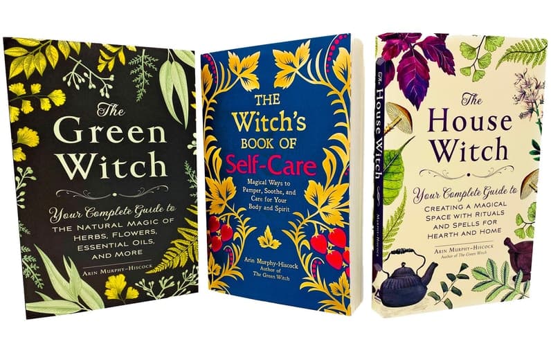 Cover of The House Witch 3