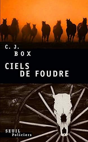 Cover of Ciels de foudre (French Edition)