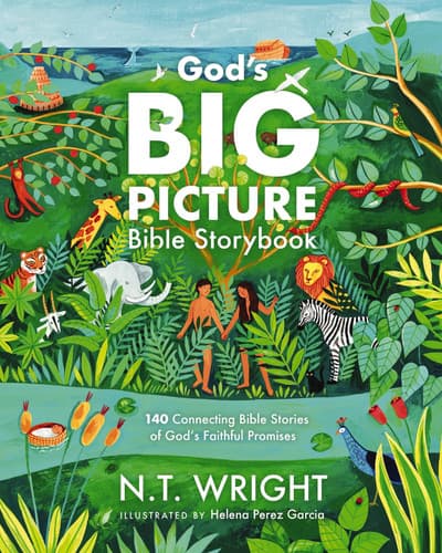 Cover of God's Big Picture Bible Storybook: 140 Connecting Bible Stories of God's Faithful Promises