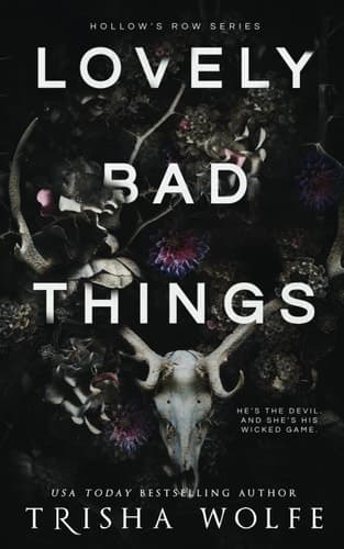 Cover of Lovely Bad Things (Hollow's Row, #1)