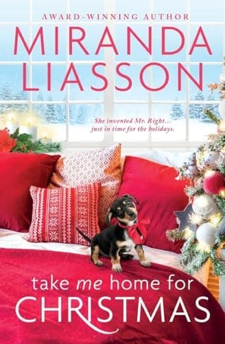 Cover of Take Me Home for Christmas