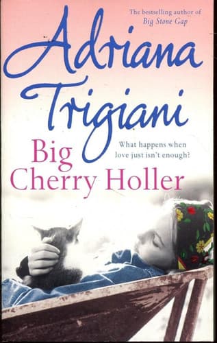Cover of Big Cherry Holler