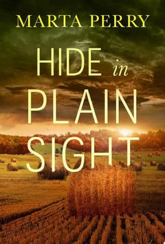 Cover of Hide in Plain Sight