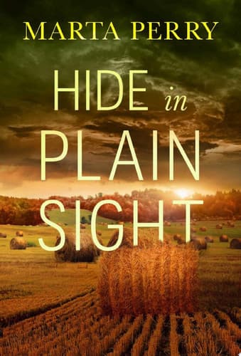 Cover of Hide in Plain Sight