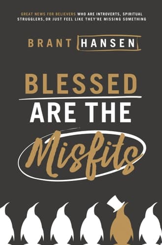 Cover of Blessed Are the Misfits: Great News for Believers who are Introverts, Spiritual Strugglers, or Just Feel Like They're Missing Something