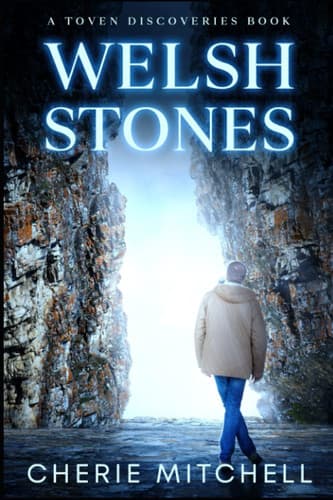 Cover of Welsh Stones