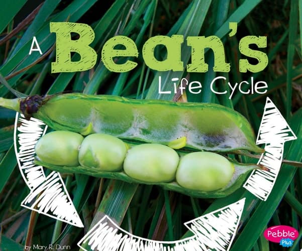 Cover of Bean's Life Cycle