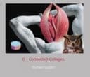 Cover of 0 - Connected Collages