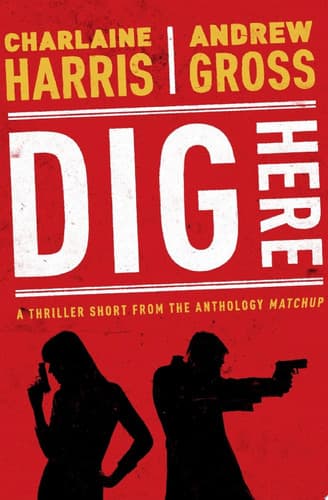 Cover of Dig Here