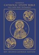 Cover of Ignatius Catholic Study Bible