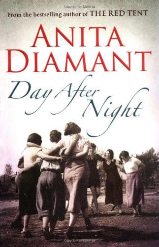 Cover of Day after Night