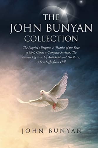Cover of The ruin of antichrist