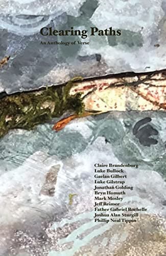 Cover of Clearing Paths